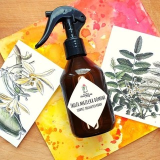 Nowa Kosmetyka Home Mist "Gin and Tonic" 150 ml(29-01-2026)