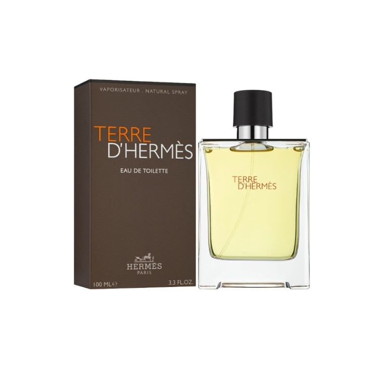 Hermes Terre D'Hermes Eau de Toilette for Men 100 ml