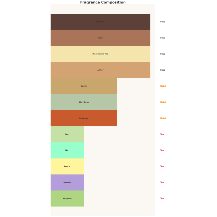 Чоловіча парфумована вода Emir Atomise Intensive Men 100 мл